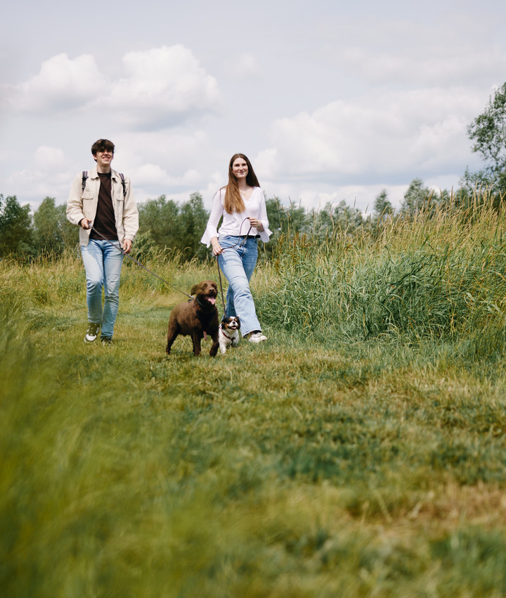 Vind uw|Last Minutes